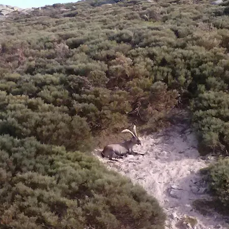 La Tablilla Y La Terraza Nyaraló *