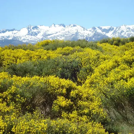 La Tablilla Y La Terraza