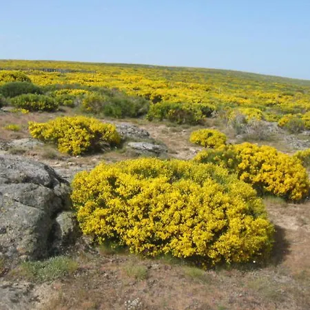 La Tablilla Y La Terraza Nyaraló